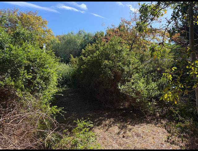 546M² VACANT LAND FOR SALE IN CONSTANTIA